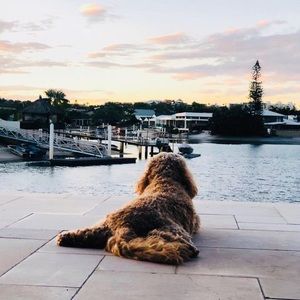 Meet your Posher, Cassandra